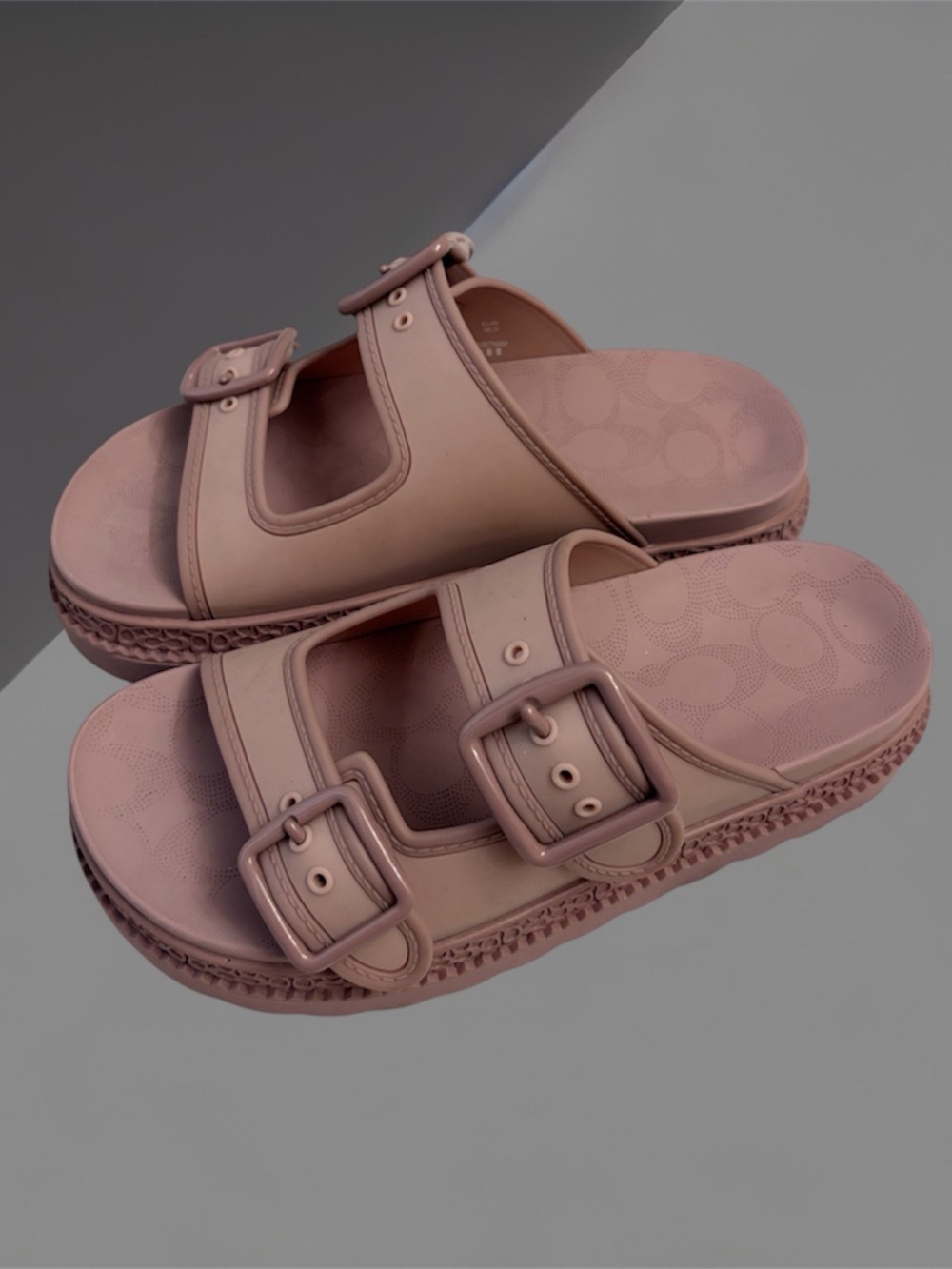 Coach Double-Buckle Slide Sandals in Dusty Pink